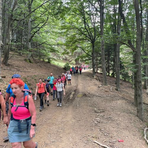 De Rusalii prin Munții Grohotiș [6]