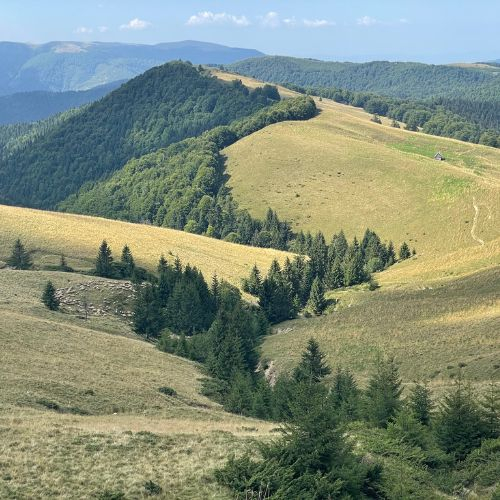 De Rusalii prin Munții Grohotiș [7]