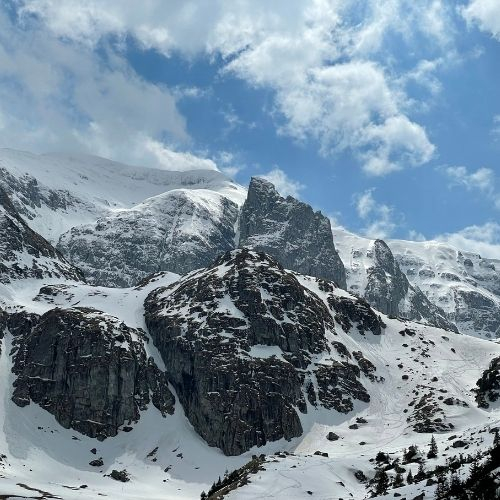 Brândușe la Cabana Mălăiești [4]