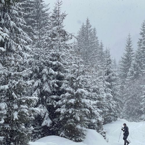 Cabana Cuca și Mâncarea la Ceaun - Munții Iezer Păpușa [5]