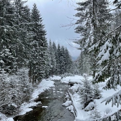 Cabana Cuca și Mâncarea la Ceaun - Munții Iezer Păpușa [2]