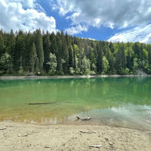 Cheile Zănoagei, Lacul Scropoasa și Cascada 7 Izvoare [5]