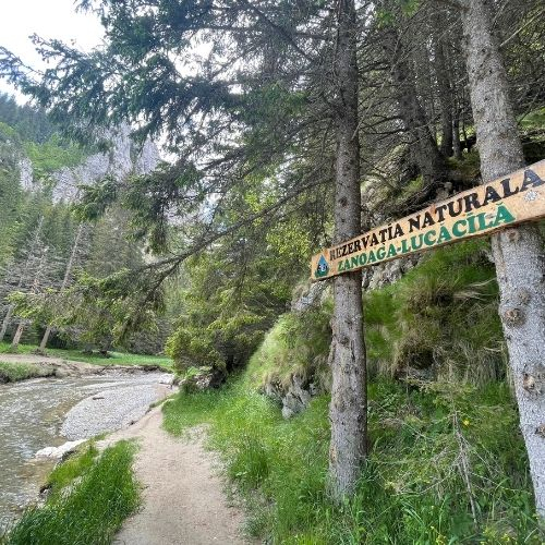 Cheile Zănoagei, Lacul Scropoasa și Cascada 7 Izvoare [3]