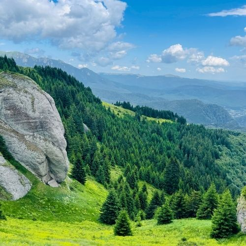 Culmea Bratocea, Afinele și Vârful Ciucaș [2]
