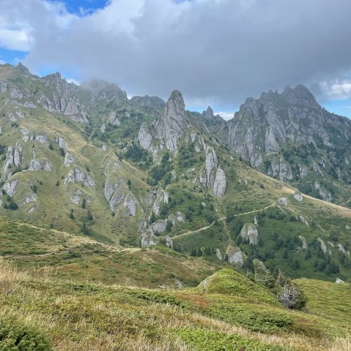 Rhododendron pe Culmea Bratocea și Vârful Ciucaș [5]