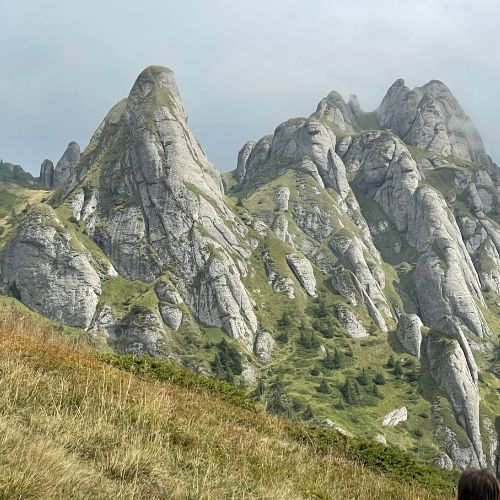 Rhododendron pe Culmea Bratocea și Vârful Ciucaș [7]