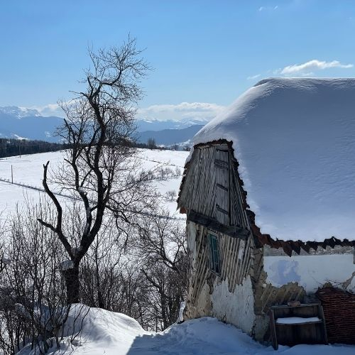 Drumeție în Poiana Mărului [5]