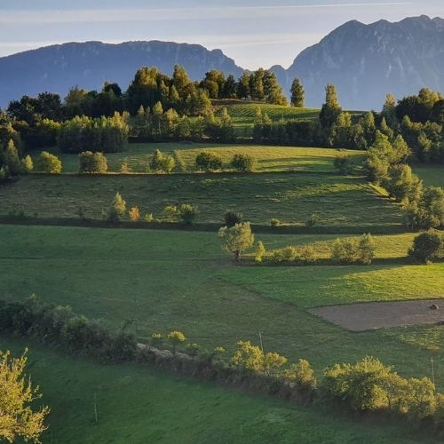 Din Poiana Mărului până în Satul Holbav  [2]
