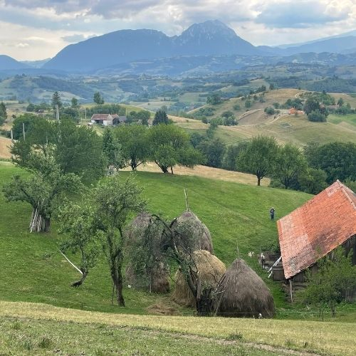 Din Poiana Mărului până în Satul Holbav  [4]