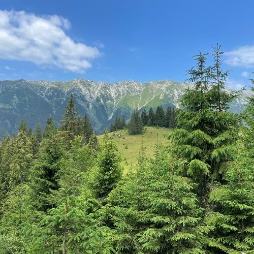 Din Satul Șirnea până în Prăpăstiile Zărneștilor [2]