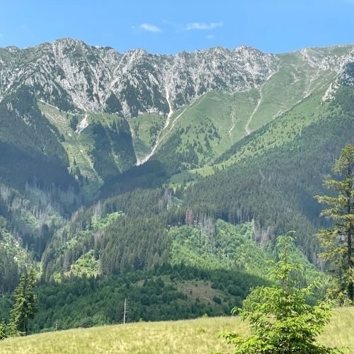 Din Satul Șirnea până în Prăpăstiile Zărneștilor [5]