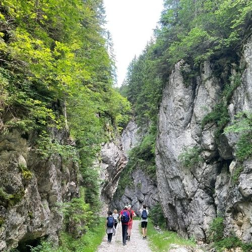 Din Satul Șirnea până în Prăpăstiile Zărneștilor [4]