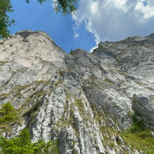 Drumeție la Cerdacul Stanciului - Piatra Craiului [6]