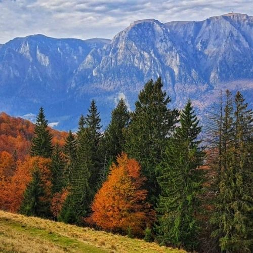 Drumeție Ruginie în Munții Baiului [4]