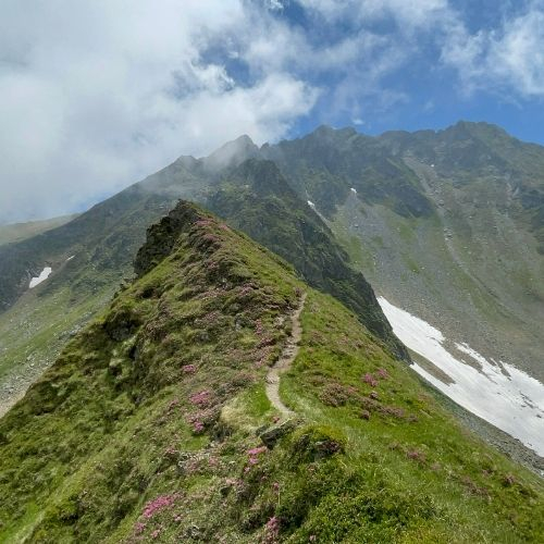Fereastra Zmeilor - Munții Făgăraș [4]