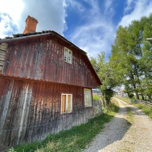 Gogoși de Toamnă la Fundata & Fundățica [10]