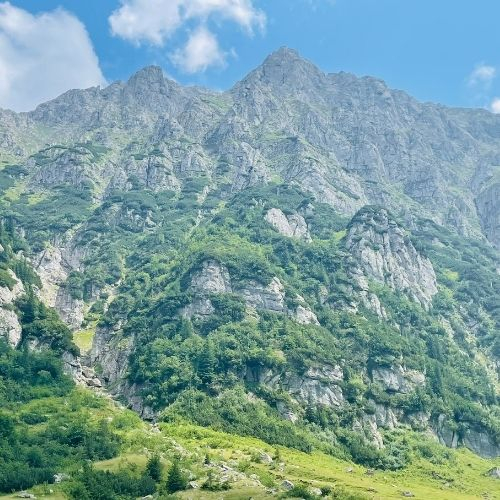 În drumeție la Cabana Mălăiești [7]