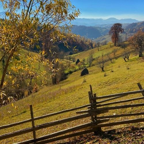 La pas din Măgura până în Moieciu de Jos [5]