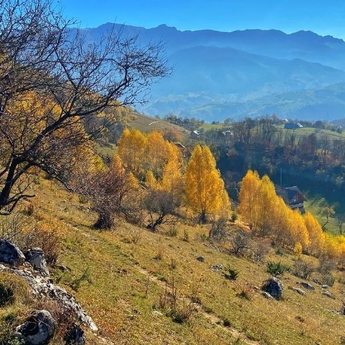 La pas din Măgura până în Moieciu de Jos [6]