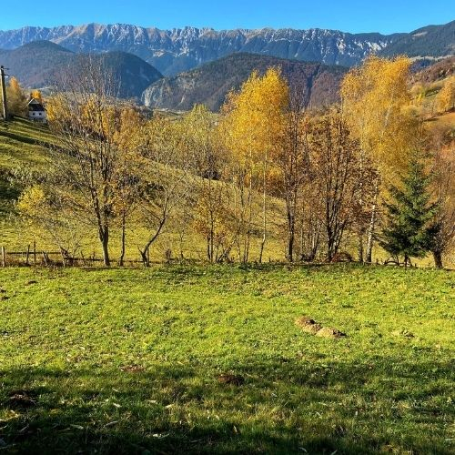 La pas din Măgura până în Moieciu de Jos [4]