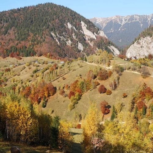 Măgurile Branului și Satele de Munte [3]