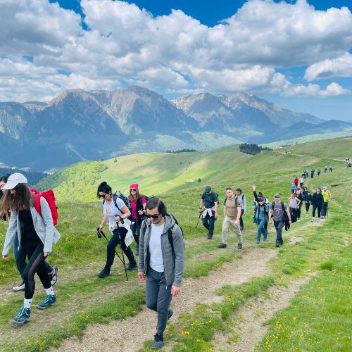 Narcisele din Munții Baiului [7]