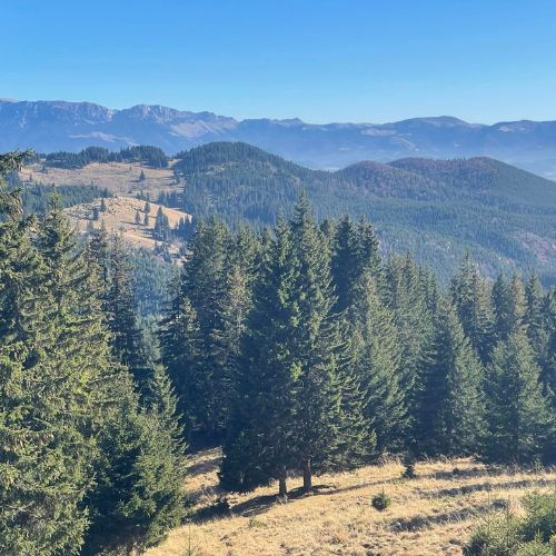 În drumeție la Refugiul Grind prin Poiana Grind [2]