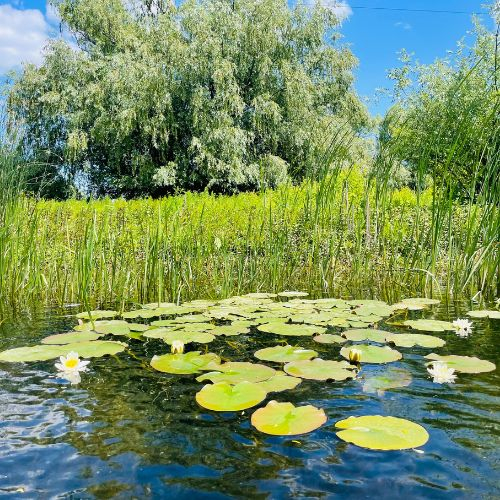 Excursie de 1 zi în Delta Dunării [2]