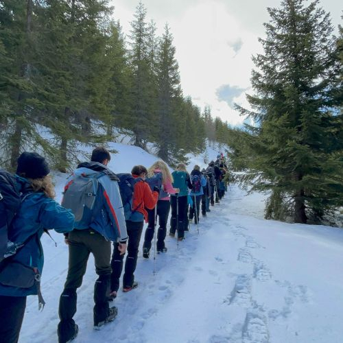 Pe Drumul Dacilor în Munții Bodoc [9]