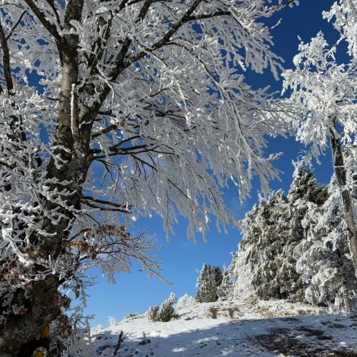 Pe Drumul Dacilor în Munții Bodoc [7]