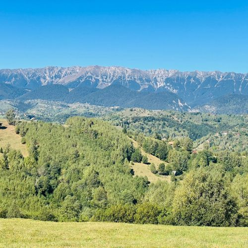 Pe Culmile Șimonului la Vârful Secătura [8]