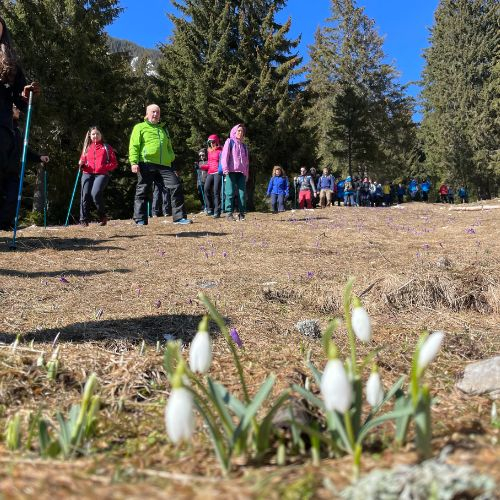 Primăvara în Piatra Craiului - Șaua Crăpăturii [2]