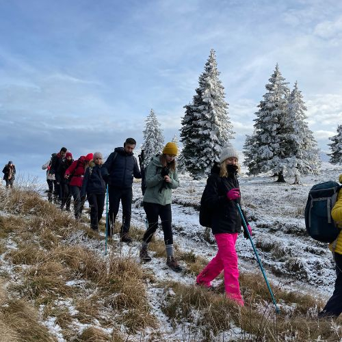 Primăvara cu Gogoși la Lacul Vulturilor - Munții Siriu [4]