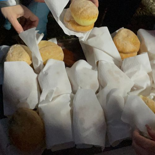 Primăvara cu Gogoși la Lacul Vulturilor - Munții Siriu [7]