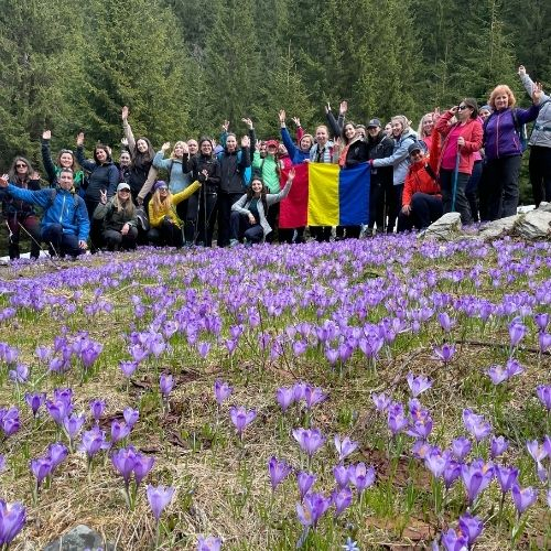 Raiul Brândușelor de pe Valea Sâmbetei  [5]