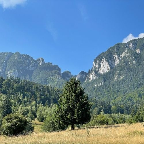 Refugiul Diana - Piatra Craiului [3]