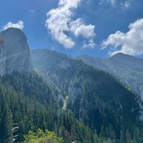 Refugiul Diana - Piatra Craiului [7]