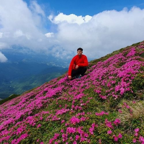 Rhododendron la Vârful Bătrâna [6]