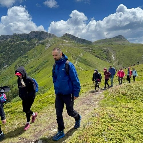 Rhododendron pe Vârful Bucșa [7]