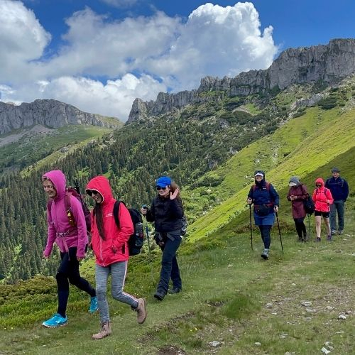 Rhododendron pe Vârful Bucșa [8]