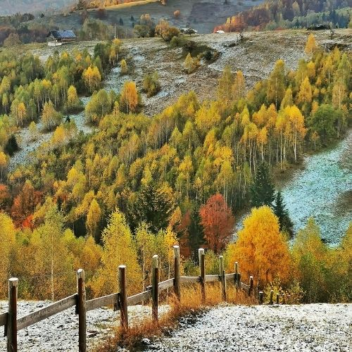 Toamna din Satul Șirnea până în Prăpăstiile Zărneștilor [3]
