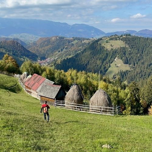 Toamna la Amfiteatrul Transilvaniei și Plaiul Bisericuței [6]