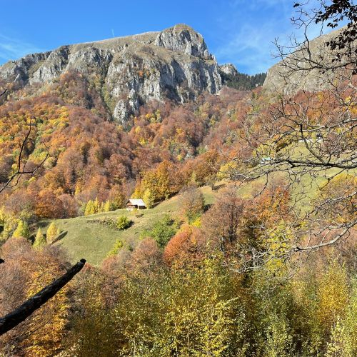 Toamna Ruginie în Buila Vânturarița [4]