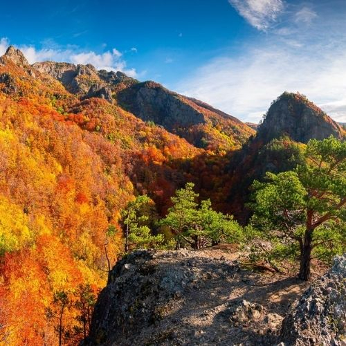 Toamna Ruginie în Masivul Cozia [2]