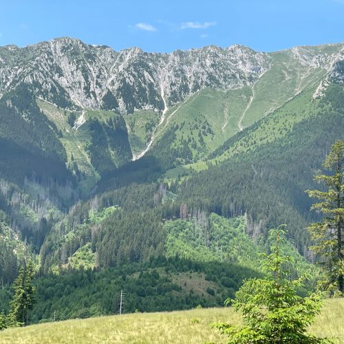 Ursa Mică și Mâncarea la Ceaun - Piatra Craiului [9]