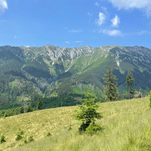 Ursa Mică și Mâncarea la Ceaun - Piatra Craiului [8]