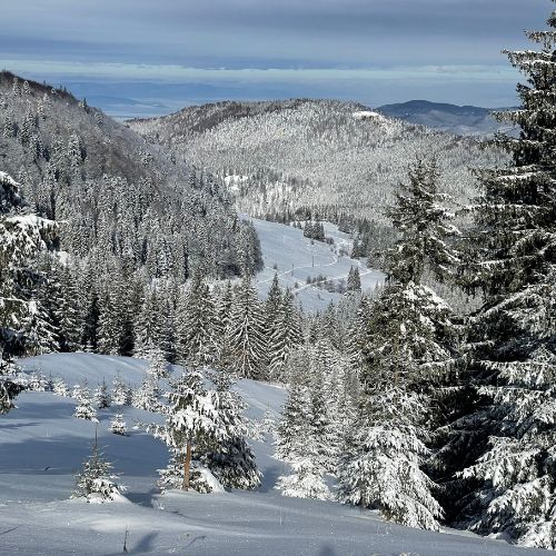 Nebun de Alb pe Vârful Grecului și la Cabana Diham [6]