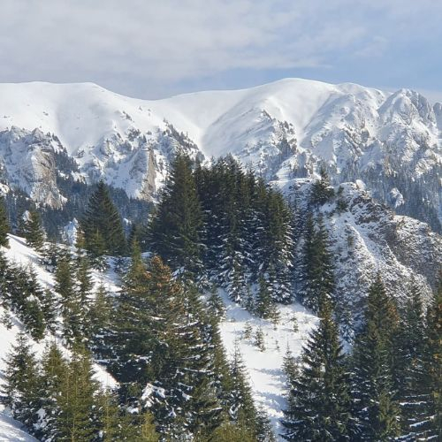 Vârful Gropșoarele și Mâncarea la Butoi [4]