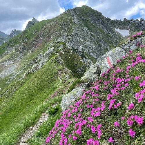 Vârful Vânătarea lui Buteanu - Munții Făgăraș (2507 m) [2]