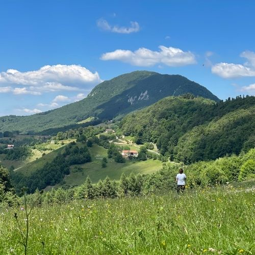 Verde Crud din Măgura Codlei până în satul Holbav  [3]